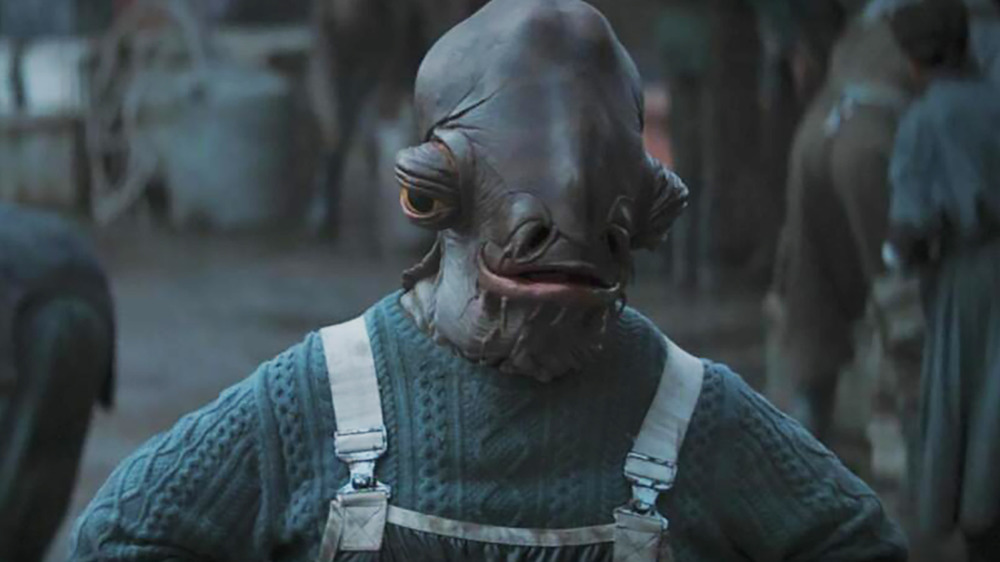 the mandalorian iden versio