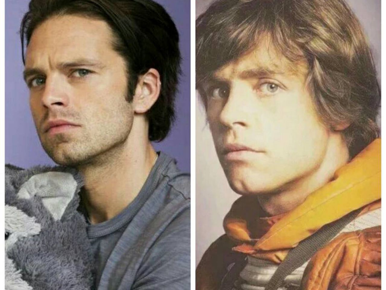 Sebastian Stan